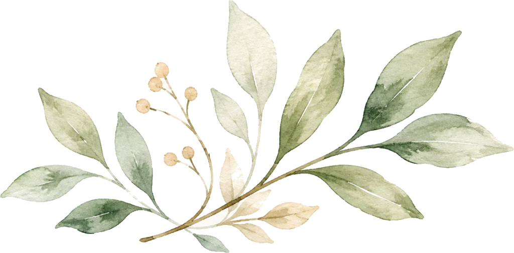 Petite feuille1